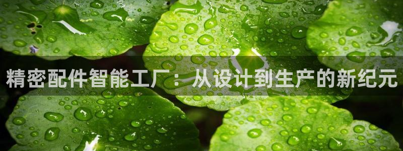 彩神网合法吗：精密配件智能工厂：从设计到生产的新纪元