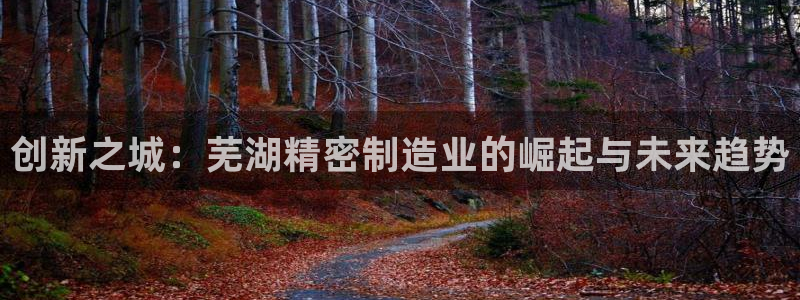 彩神8官网500：创新之城：芜湖精密制造业的崛起与未来趋势