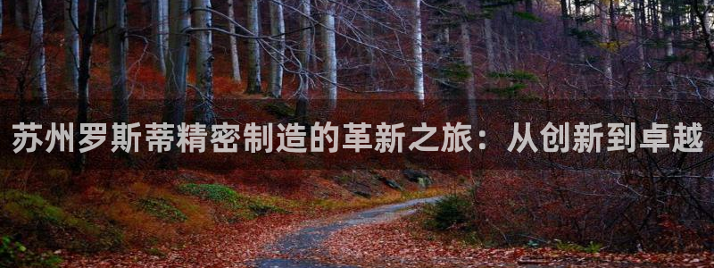 彩神v争霸是啥：苏州罗斯蒂精密制造的革新之旅：从创新到卓越
