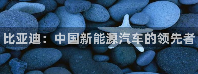 彩神怎么才能赢：比亚迪：中国新能源汽车的领先者