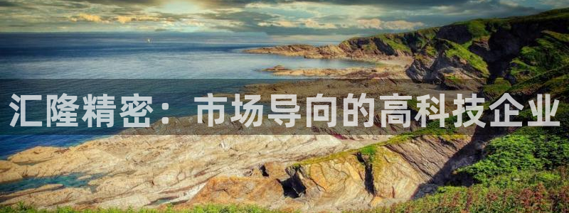 彩神ix是真的吗：汇隆精密：市场导向的高科技企业
