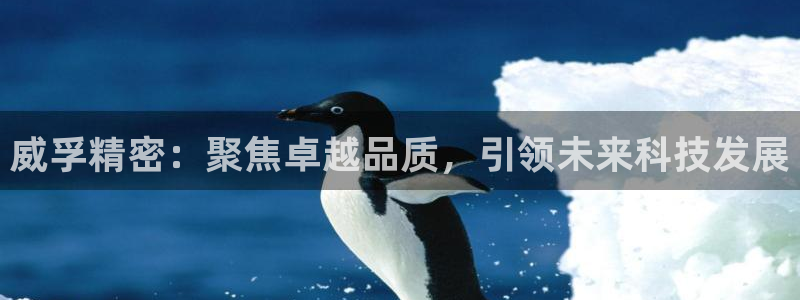 彩神vl官网：威孚精密：聚焦卓越品质，引领未来科技发展