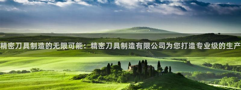 彩神v8下载app：精密刀具制造的无限可能：精密刀具制造有限公司为您打造专业级的生产