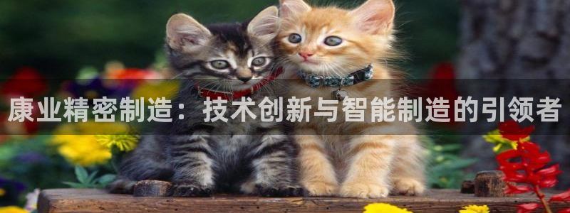 下载彩神通关注码：康业精密制造：技术创新与智能制造的引领者