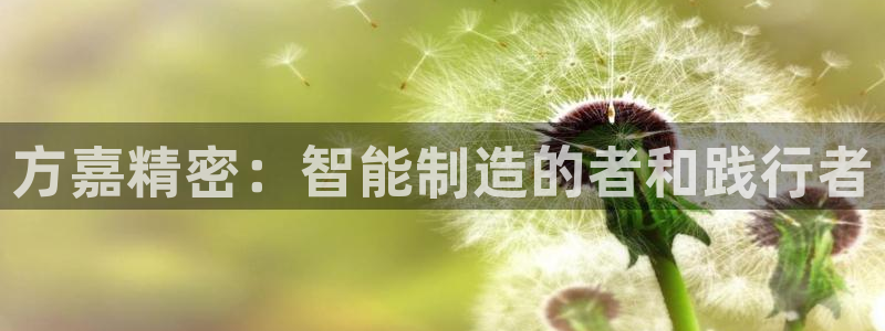 彩神购彩-购彩大厅入口下载：方嘉精密：智能制造的者和践行者