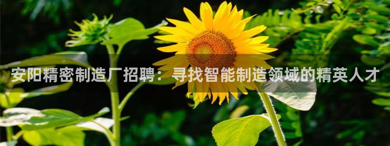 彩神网合法吗：安阳精密制造厂招聘：寻找智能制造领域的精英人才