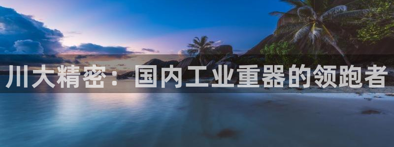 彩神争霸平台：川大精密：国内工业重器的领跑者