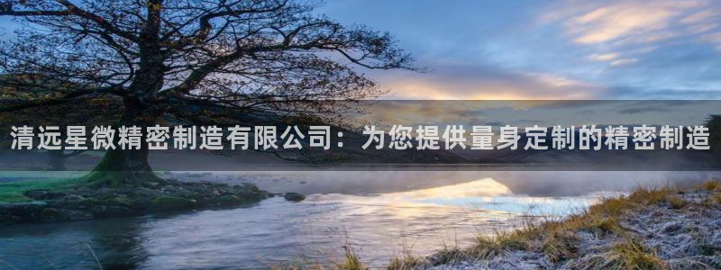 彩神vip官方网站：清远星微精密制造有限公司：为您提供量身定制的精密制造