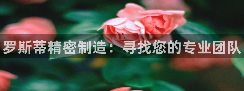 彩神V购彩大厅：罗斯蒂精密制造：寻找您的专业团队