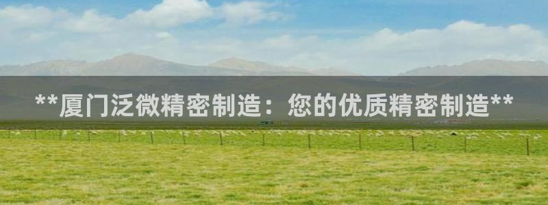 有谁知道彩神争霸的网址：**厦门泛微精密制造：您的优质精密制造**