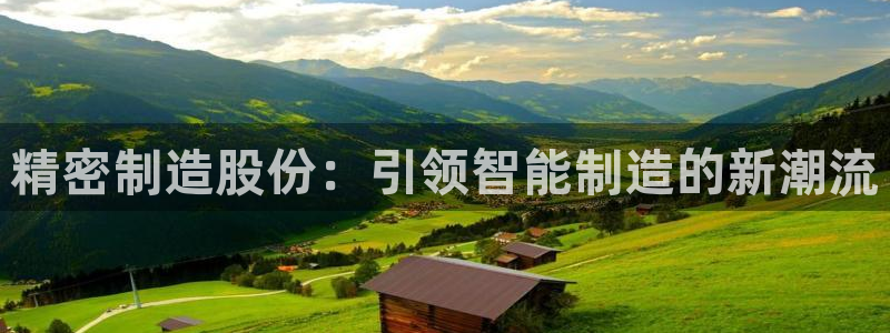 大发彩神争：精密制造股份：引领智能制造的新潮流