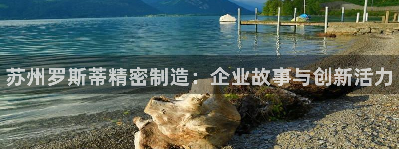 新版彩神v8登录不了：苏州罗斯蒂精密制造：企业故事与创新活力