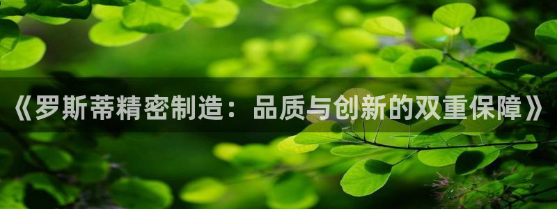 彩神x平台靠什么盈利：《罗斯蒂精密制造：品质与创新的双重保障》