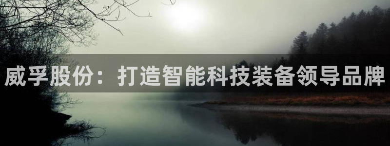 彩神vll趣投彩：威孚股份：打造智能科技装备领导品牌