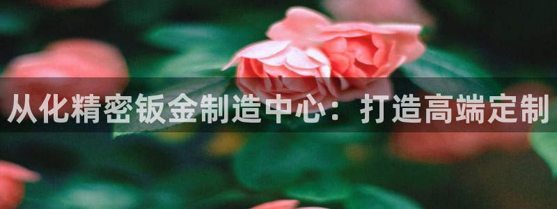 彩神v彩搜狗