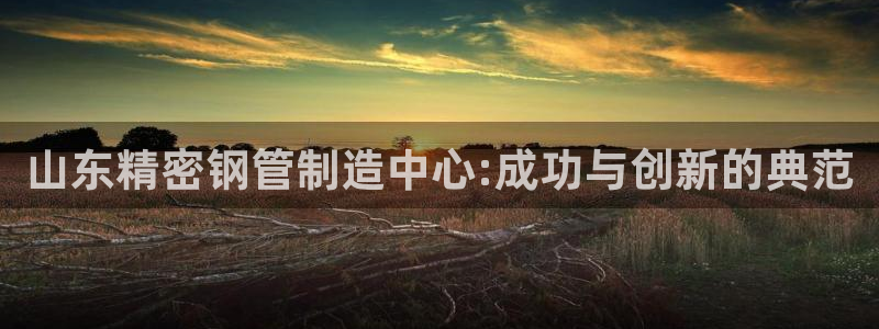 彩神v8app：山东精密钢管制造中心:成功与创新的典范