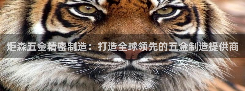 彩神v破解版