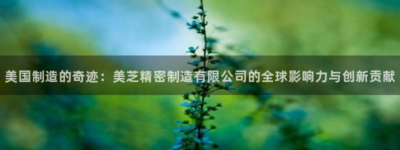 彩神v彩搜狗：美国制造的奇迹：美芝精密制造有限公司的全球影响力与创新贡献