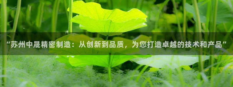彩神v8下载app5.0：“苏州中晟精密制造：从创新到品质，为您打造卓越的技术和产品”