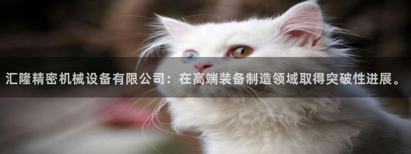 彩神合法吗.是国家认可的吗：汇隆精密机械设备有限公司：在高端装备制造领域取得突破性进展。