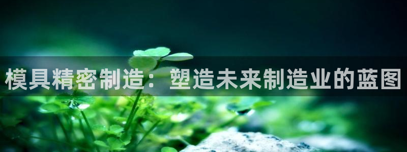 彩神vll购彩大厅：模具精密制造：塑造未来制造业的蓝图