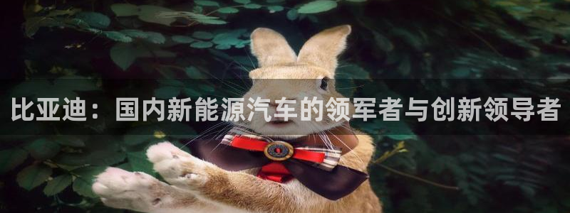 下载彩神通关注金码