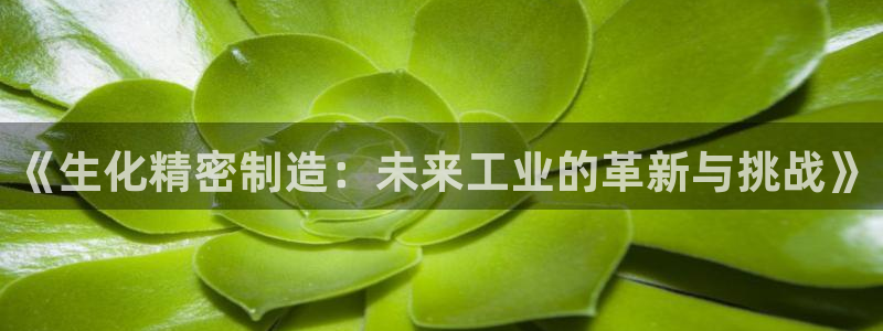彩神是什么平台