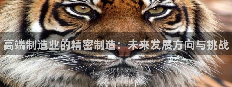 天天彩神welcome：高端制造业的精密制造：未来发展方向与挑战