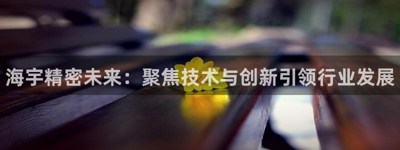 彩神v8手机客户端：海宇精密未来：聚焦技术与创新引领行业发展