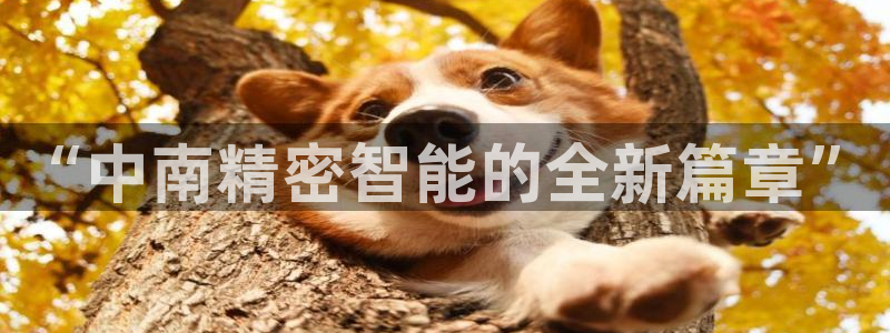 彩神8官网合法吗：“中南精密智能的全新篇章”