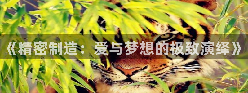彩神是正规平台吗安全吗：《精密制造：爱与梦想的极致演绎》