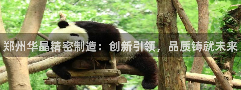 彩神ⅴll是什么样平台：郑州华晶精密制造：创新引领，品质铸就未来
