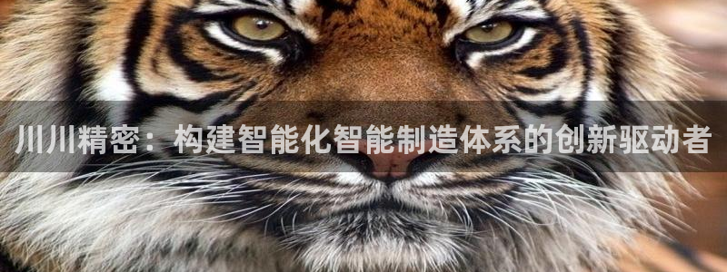 彩神V集团公司
