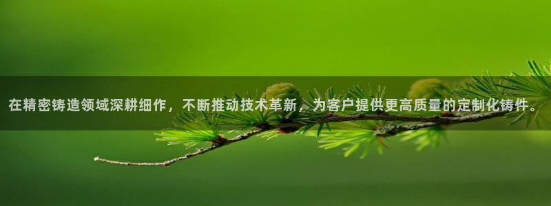 彩神是怎样一个平台赚钱的：在精密铸造领域深耕细作，不断推动技术革新，为客户提供更高质量的定制化铸件。