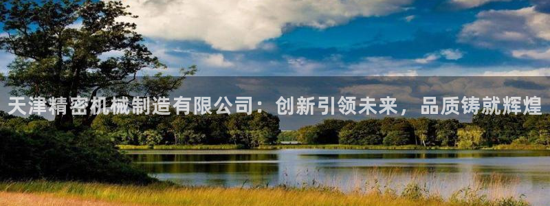彩神vi争霸官网：天津精密机械制造有限公司：创新引领未来，品质铸就辉煌