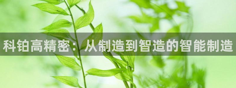 彩神vlll官网网上