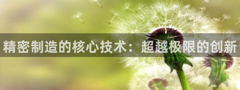 彩神购彩购彩大厅入口v：精密制造的核心技术：超越极限的创新