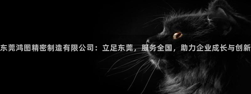 彩神vll趣投彩：东莞鸿图精密制造有限公司：立足东莞，服务全国，助力企业成长与创新