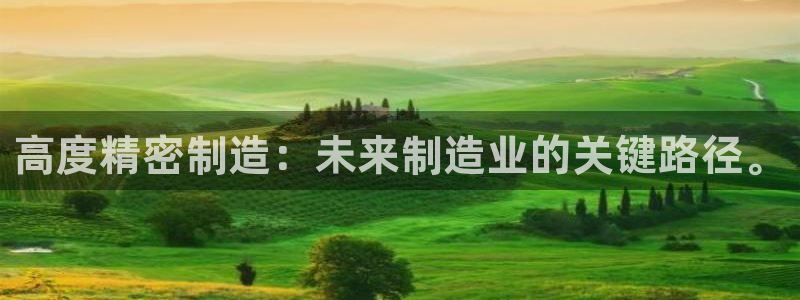 彩神V8有限公司