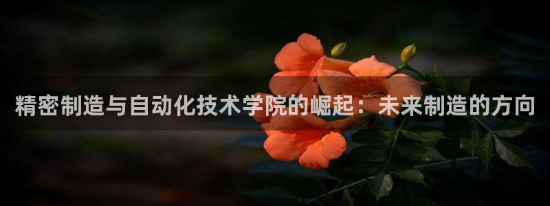 彩神vii官网大赢家：精密制造与自动化技术学院的崛起：未来制造的方向
