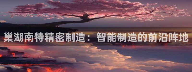 彩神v网赌软件下载：巢湖南特精密制造：智能制造的前沿阵地