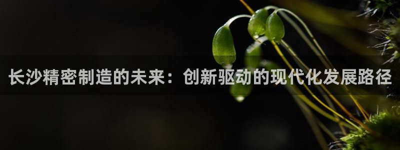 彩神8彩平台官网