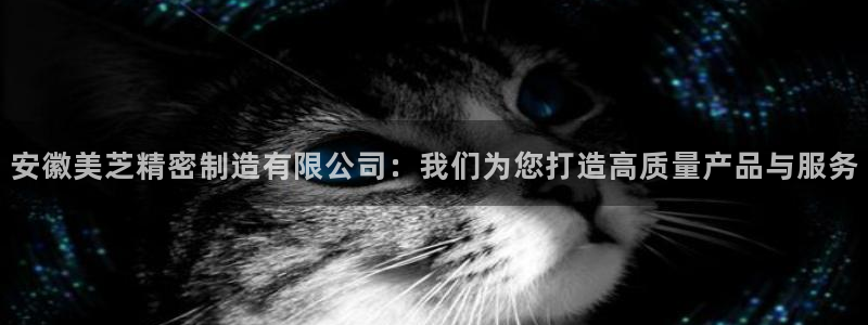 彩神v8是一个什么平台：安徽美芝精密制造有限公司：我们为您打造高质量产品与服务