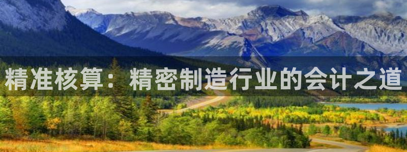 彩神v8是一个什么平台游戏：精准核算：精密制造行业的会计之道