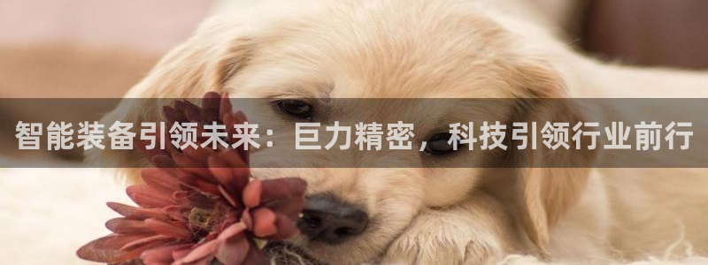 彩神v彩搜狗：智能装备引领未来：巨力精密，科技引领行业前行