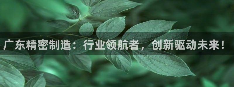 彩神输的钱是赌博还是诈骗：广东精密制造：行业领航者，创新驱动未来！