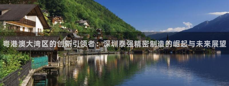 彩神是正规平台吗知乎：粤港澳大湾区的创新引领者：深圳泰强精密制造的崛起与未来展望