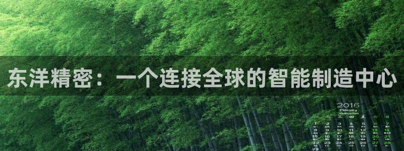 彩神vip购彩大厅在哪：东洋精密：一个连接全球的智能制造中心