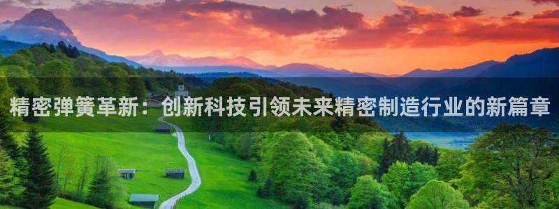 彩神vi争霸官网：精密弹簧革新：创新科技引领未来精密制造行业的新篇章