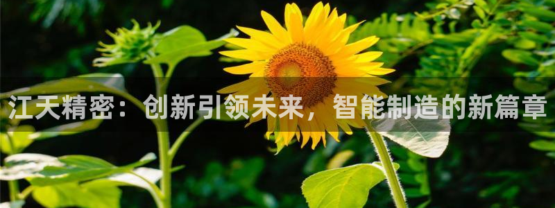 彩神v网赌软件下载：江天精密：创新引领未来，智能制造的新篇章